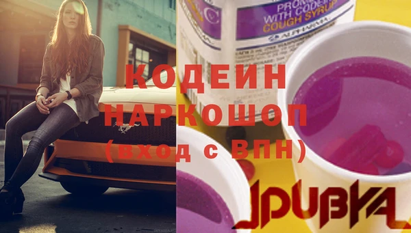 стаф Арсеньев
