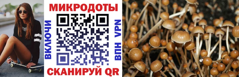 Псилоцибиновые грибы Magic Shrooms  Малая Вишера 